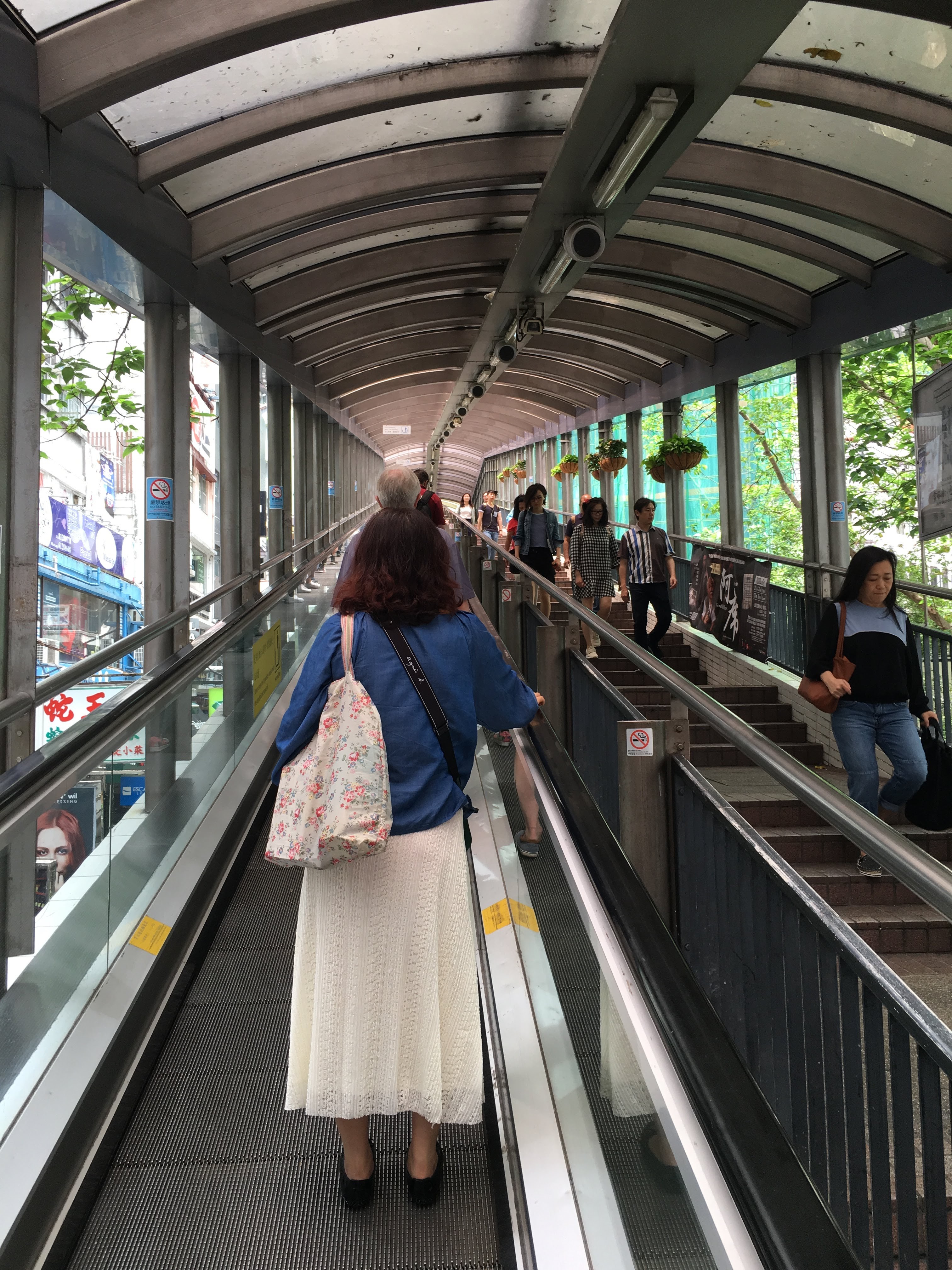 HK escalators.JPG