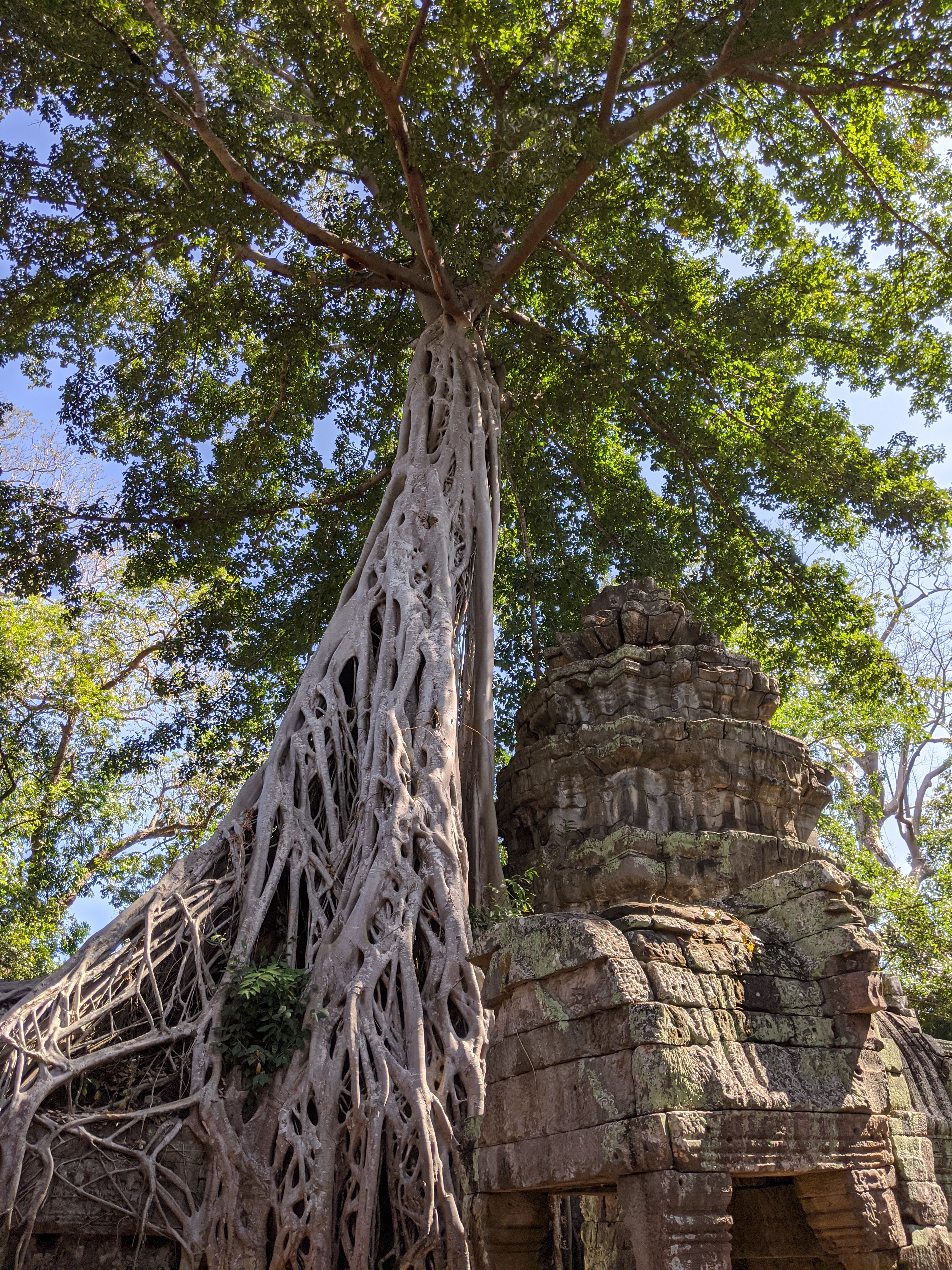 Ta Prohm Siem Reap